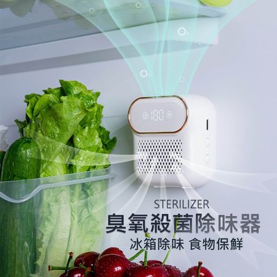 冰箱除臭器/臭氧機 食物保鮮 家用淨化器 臭氧殺菌 去異味/淨化空氣/廁所/廚房 (USB充電)