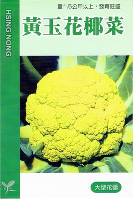黃玉花椰菜 （黃色花椰菜）興農牌蔬果種子 每包約1ml