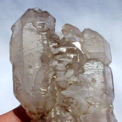 鱷魚骨幹水晶10–172.6公克。教堂水晶。茶黃晶。珍藏水晶