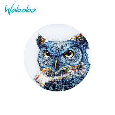 瑞典[WABOBA]Waboba Wingman UFO – Owl / LED（夜光）軟式飛盤