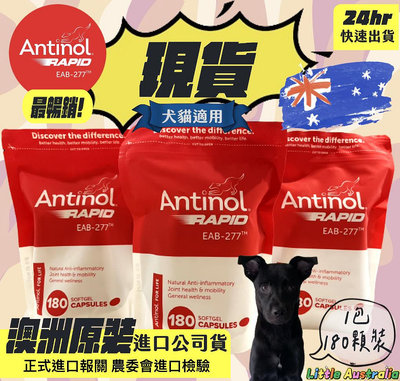 ⭐️現貨⭐️安適得 Antinol Rapid 澳洲原裝公司貨180顆 犬貓關節保健[24hr出貨+電子發票]