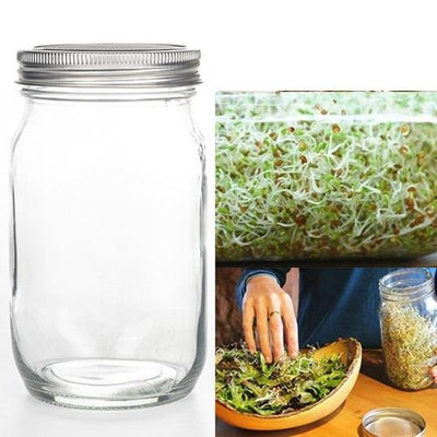 3132梅森罐32OZ寬口瓶 芽菜發芽mason玻璃罐(單瓶子 不含蓋)-其他水耕