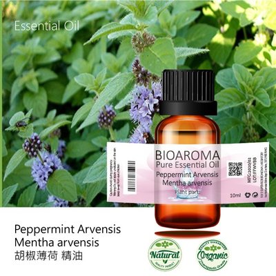 【芳香療網】Peppermint Arvensis - Mentha arvensis 薄荷精油 100ml