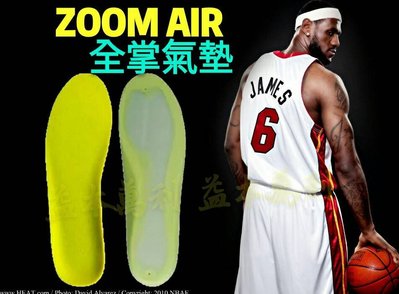 【益本萬利】DS15 NIKE SB Zoom AIR 系列 減震 全掌氣墊 籃球鞋  鞋墊 氣墊 kobe SSD