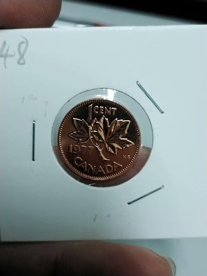 【二手】 X1048 加拿大1977年1分類精制紀念幣2151 錢幣 硬幣 紀念幣【明月軒】