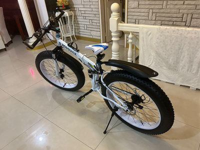 胖胎折疊式腳踏車