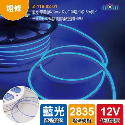LED霓虹燈條【Z-116-02-01】藍光-帶皮色6×12mm／低壓12V 防水燈條 50米/卷 進口硅膠柔性燈帶