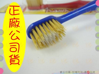 用過才推薦 3支入日本製Ebisu6排加寬內硬外軟2種超細毛牙刷 軟硬適中/軟毛牙刷/牙周病適用【白居藝】