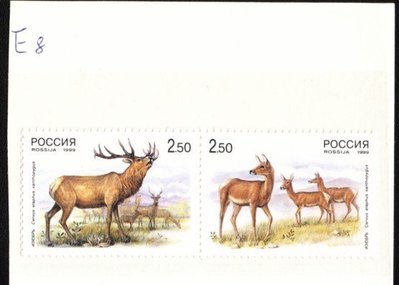 (5 _ 5)~俄羅斯新郵票---馬鹿---與中國合發---1999年--- 2 全