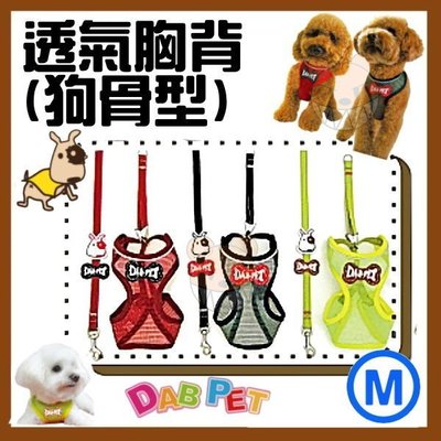 【幸福寶貝寵物Go】台灣製 DAB PET《M，中型犬，紅.黑.黃》骨頭造型-透氣胸背/牽繩~輕鬆穿.舒適.夏天最佳選擇