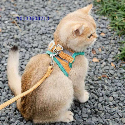 新疆西藏貓咪牽引繩防掙脫背心式胸背帶溜貓繩子貓鏈子小貓咪