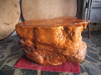 福杉瘤-原木椅