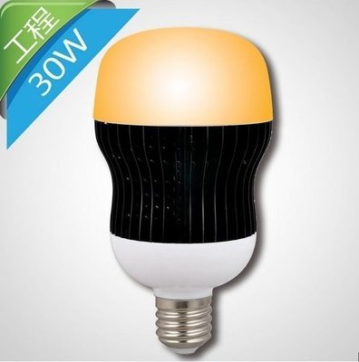 省電大作戰30w 正白光（6500k） E27 大功率led 燈泡 用於夜市，賣場，外燴場所，大空間使用