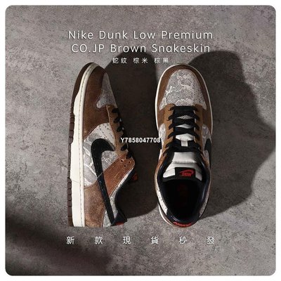 Nike Dunk Low Head 2 Head 蛇紋 摩卡 棕 休閑滑板鞋FJ5434-120