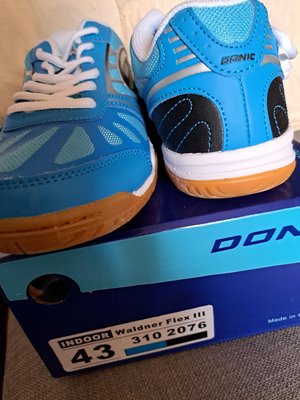阿丹桌球，桌球鞋，Donic,43號，藍色，1雙900元