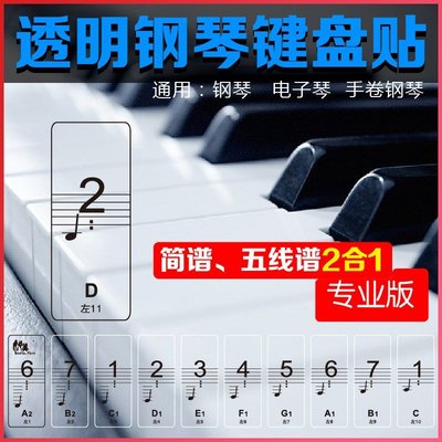 特賣-88鍵專業透明鋼琴數字鍵貼紙61電子琴鍵盤手卷鋼琴鍵貼五線譜簡譜