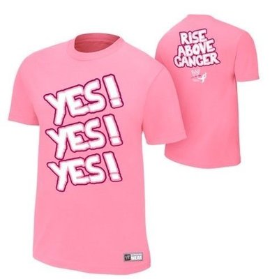 ☆阿Su倉庫☆WWE Daniel Bryan Rise Above Cancer Pink Authentic T-Shirt 美國龍克服病魔公益款