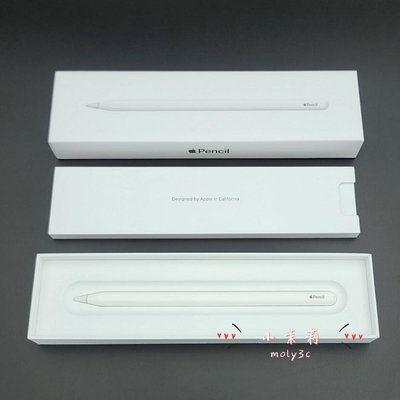 【高雄現貨】蘋果 Apple Pencil 2 鉛筆 (第二代) A2051 iPad pro air 4/5 mini6適用