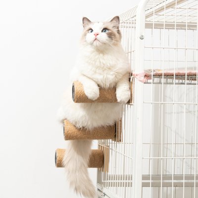 免運 貓籠劍麻貓抓板樓梯平臺黃麻貓抓柱多層貓抓柱攀爬貓咪玩具用品