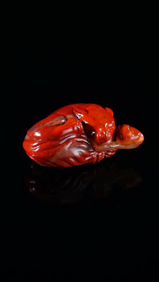 壽山石 壽山芙蓉石紅睡貍手把件，通體紅色，底部還有白水一樣1955 壽山石 印章 雕刻【清雅齋】1722