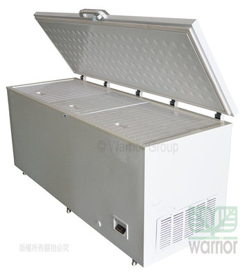 營業用 變頻 JCM 6尺3 超低温冷凍櫃 456公升 DW-60W456 新款變頻 全省配送