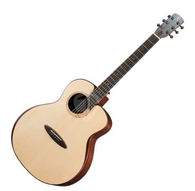 aNueNue L200 飛鳥 41吋 全單板吉他 月亮雲杉/印度玫瑰木 全單板 含原廠木製吉他硬盒 鳥吉他 L200