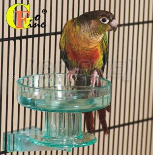 GO-FINE夠好 立可吸QLBB-1鳥用澡盤 鳥用飼料盤 小鳥用澡盆 鳥類沐浴盤 鳥類休息台美國寵物第一品牌LIXIT