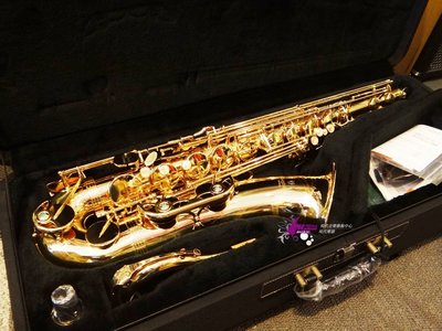 【現代樂器】日本柳澤YANAGISAWA T-WO1 Tenor Saxophone次中音薩克斯風 TWO-1