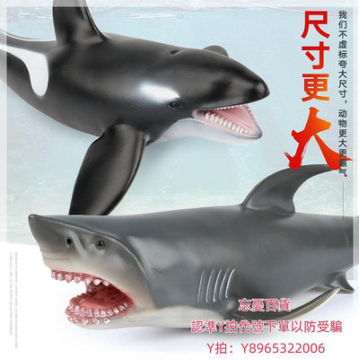 仿真模型軟膠大號抹香鯨玩具仿真鯨魚海洋動物模型塑料軟橡膠充棉巨抹香鯨