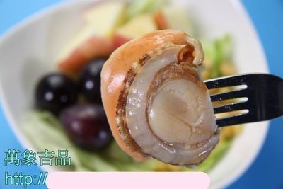 【冷凍貝類】帆立貝(肉)(20~30粒) / 約1000g / 包~教您做和風大扇貝上桌~