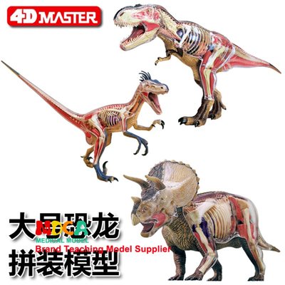 4D MASTER拼裝玩具仿真動物恐龍霸王龍三角龍盜鈴龍器官解剖模型