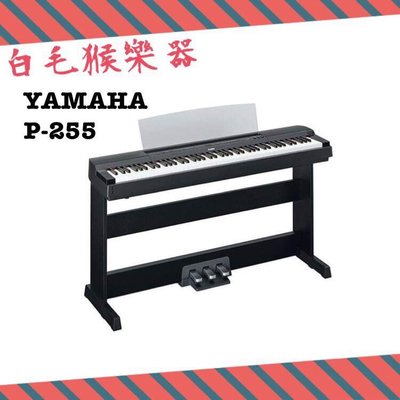 《白毛猴樂器》YAMAHA P255 P-255日本製數位鋼琴 標準88鍵電鋼琴 公司貨