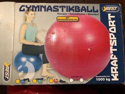 展示品 居家健身 瑜珈球 韻律球 瘦身瑜珈球 彈力球 抗力球 平衡球 感統球 65 75公分