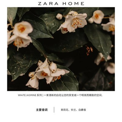 熱銷 Zara Home 白茉莉花系列室內香氛蠟燭620g 41089705250