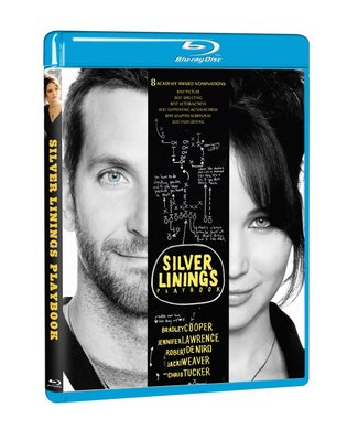 合友唱片  派特的幸福劇本 藍光 The Silver Linings Playbook BD
