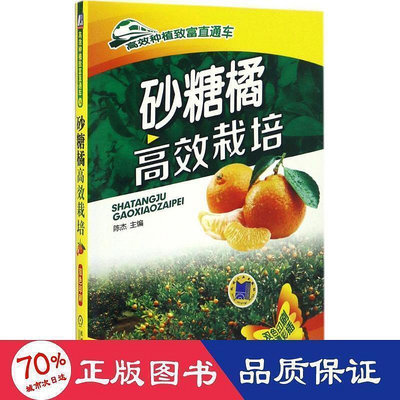 砂糖橘高效栽培 種植業 陳傑 主編  - 9787111553977