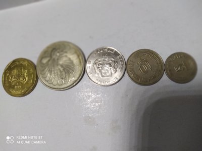 新加坡幣 1元 50 20 10 5 cents