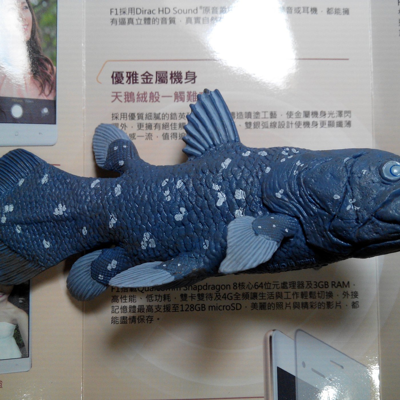 仿真實心遠古動物模型 腔棘魚 活化石 Yahoo奇摩拍賣