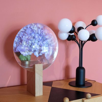 怡然居：現貨sort法國Maison Dada新品創意水仙花瓶現代簡約裝飾擺件Narcisse
