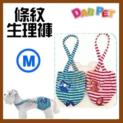 【幸福寶貝寵物Go】台灣製 DAB PET《M，藍色》條紋-生理褲~彈性棉質.俏皮可愛