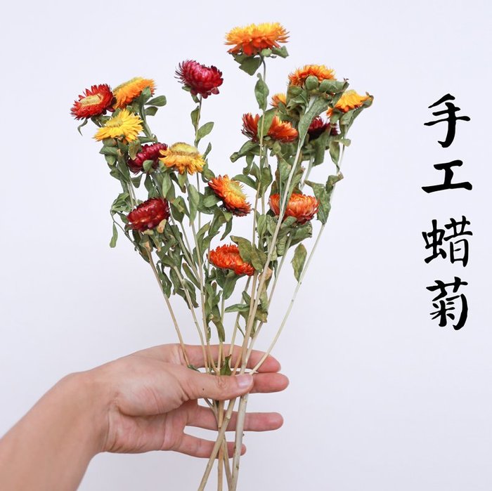 人造花永生花假花綠植乾花麥稈菊蠟菊貝細工天然干花云南昆明diy花束花滴膠手機殼diy材料 Yahoo奇摩拍賣