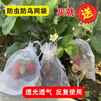 熱賣*草莓藍莓水果網套袋防蟲防鳥吃套袋紗網袋葡萄無花果透氣瓜果套袋#好鄰居特價