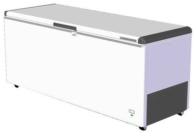 冠億冷凍家具行 德國利勃LIEBHERR 6尺3 上掀密閉冷凍櫃 (EFL-6005)