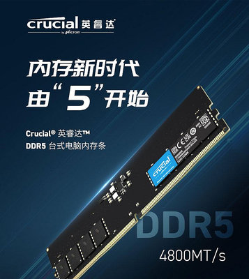 記憶體海力士鎂光三星芯片DDR5 4800 5600 16G 32G單條臺式機電腦內存條