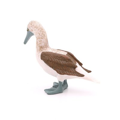 Blue-Footed Booby Model