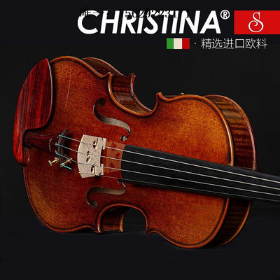 小提琴克莉絲蒂娜S500B進口歐料專業級考級演奏級手工獨板成人小提琴手拉琴