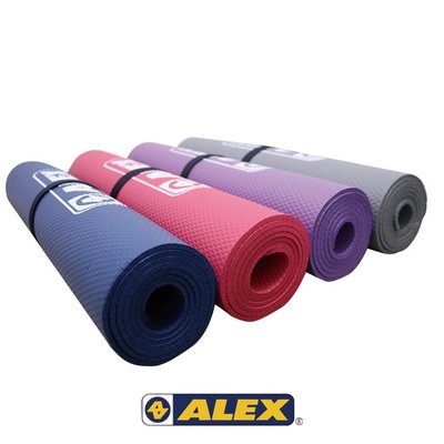 ALEX 瑜珈墊-有氧 塑身 健身地墊 (附提袋)