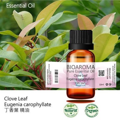 【芳香療網】Clove Leaf - Eugenia carophyllate 丁香葉精油 10ml