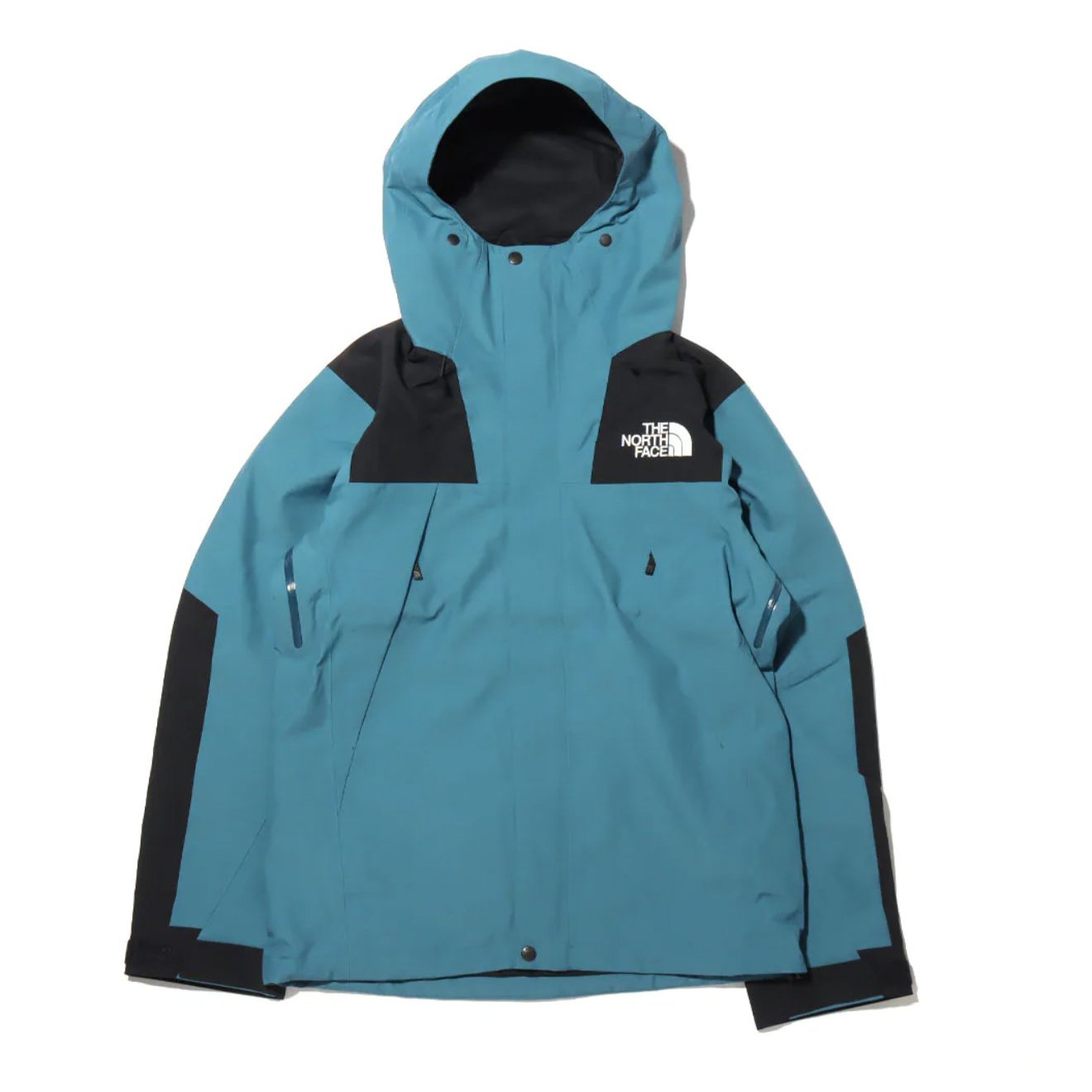 THE NORTH FACE MOUNTAIN JACKET GORE-TEX 連帽外套np61800。太陽選物