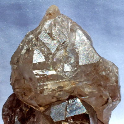 鱷魚骨幹水晶07–221.3公克。教堂水晶。茶黃晶。珍藏水晶